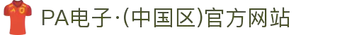 PA电子·(中国区)官方网站