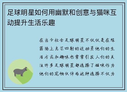 足球明星如何用幽默和创意与猫咪互动提升生活乐趣